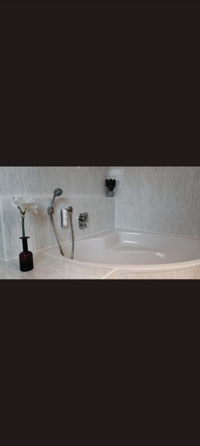 Self Checkin Hotel Heckenrose Lorin 灵斯海姆 外观 照片